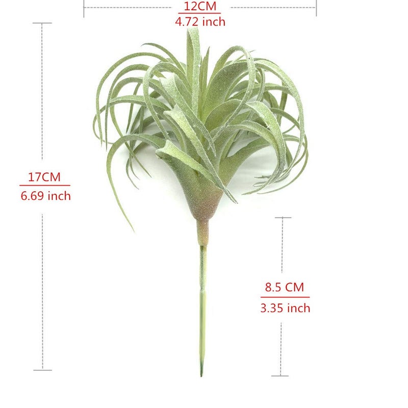 EBUYOM 2 PCS Artificial Succulents Plants Real Touch Lifelike Succulants Plants Faux Greenery Plants Garden DIY Home Office Decoration Ornament (Flocking Air Plant) - Image 4
